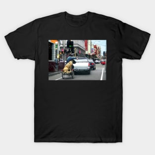 The Brunswick Street Dog T-Shirt